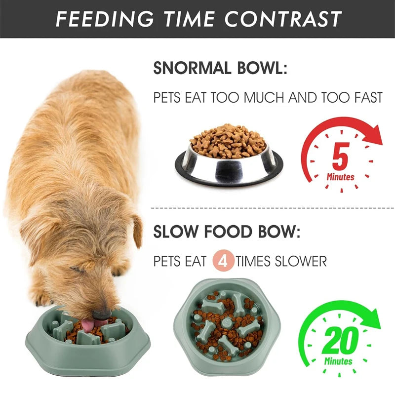 Anti-choking Slow Feeding Dog Bowl