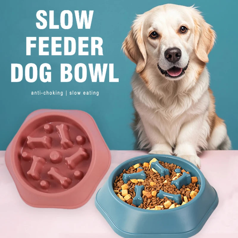 Anti-choking Slow Feeding Dog Bowl